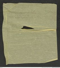 Nachlass Franz Steindachner, Frachtliste von Paul Sachse an Franz Steindachner (12.11.1905), Inv.Nr. 429.04, Seite 2